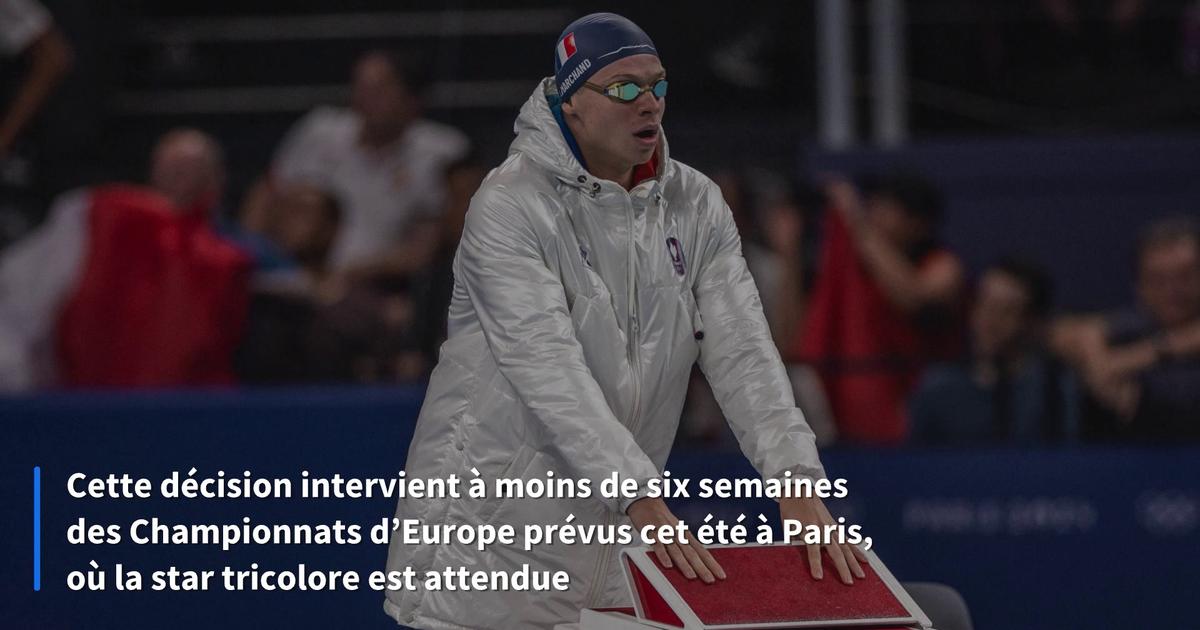 Léon Marchand, touché à un adducteur, déclare forfait pour la fin des Championnats de France de natation