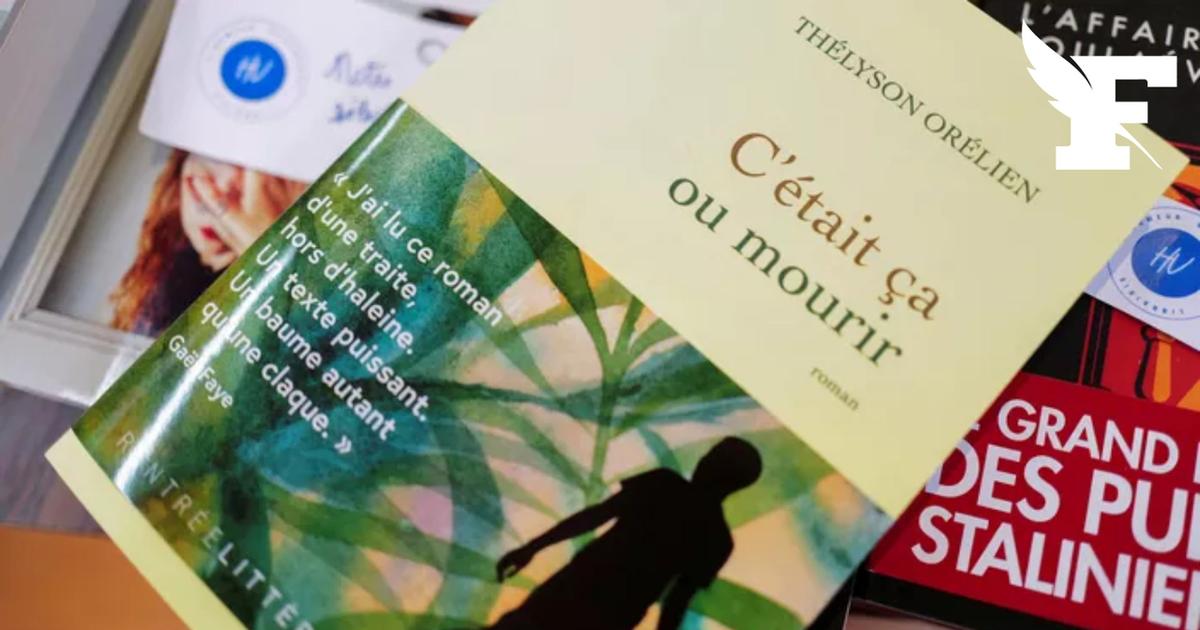 Accusé d'être écrit avec l'IA, le roman de Thélyson Orélien supprimé de la sélection de l'Académie Goncourt