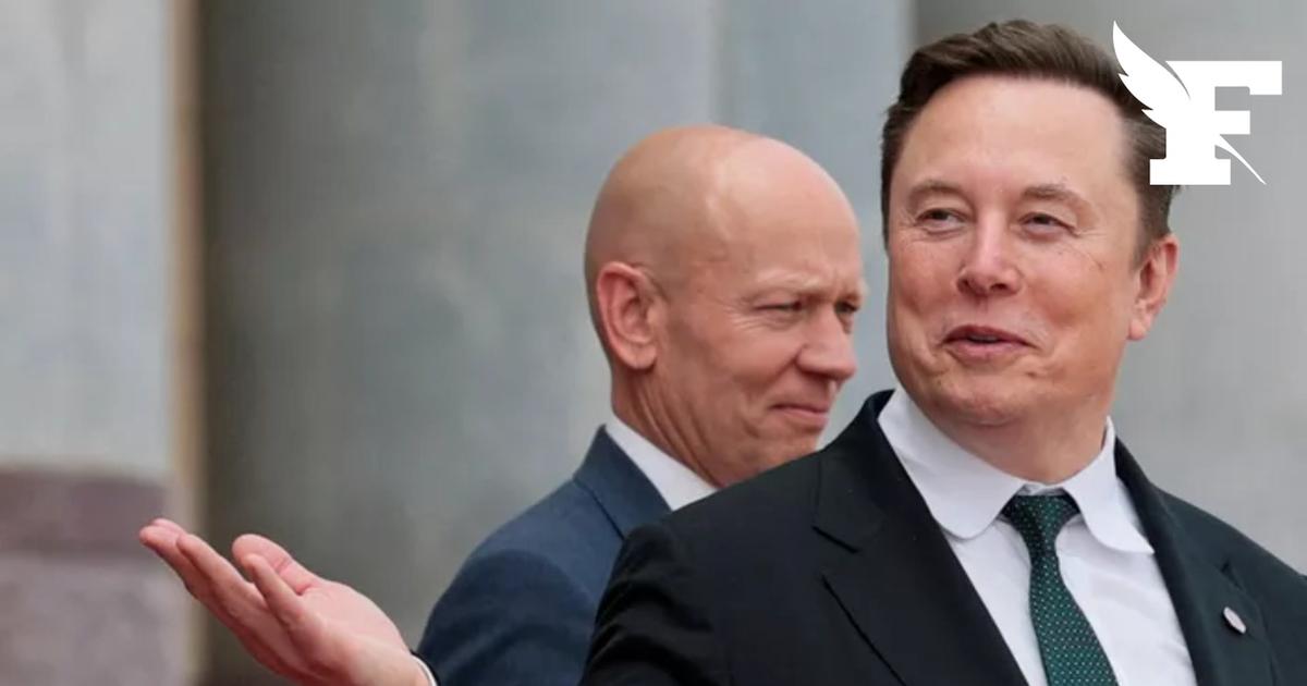 Qu'est ce que Citizen Vigilante, ce film anti-migrants interdit en Allemagne et promu par Elon Musk ?