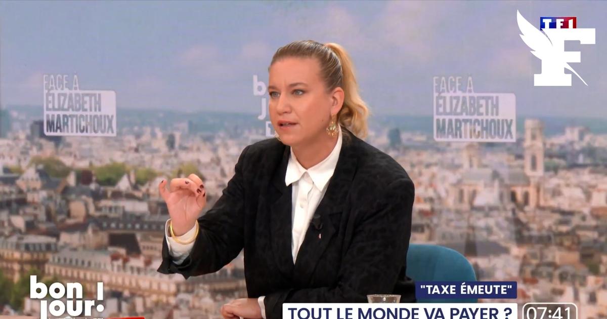 Loi casseurs-payeurs : Mathilde Panot dénonce «une atteinte grave au droit de manifester»