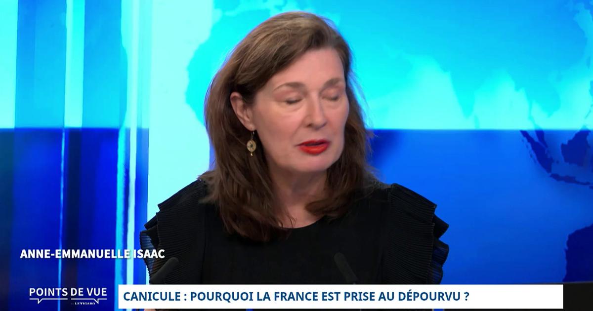 Canicule : pourquoi la France est prise au dépourvu ? Le point de vue de Cyrille Vanlerberghe