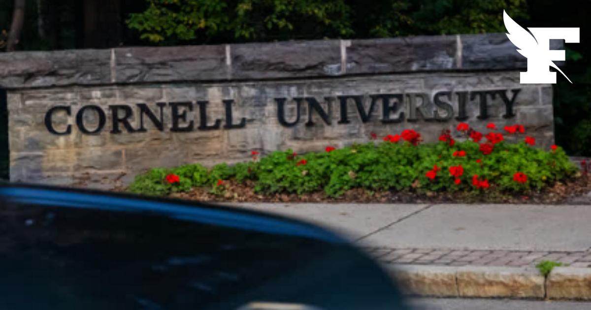 États-Unis: sept étudiants de l'université de Cornell accusés d'avoir violé collectivement une jeune femme en 2024