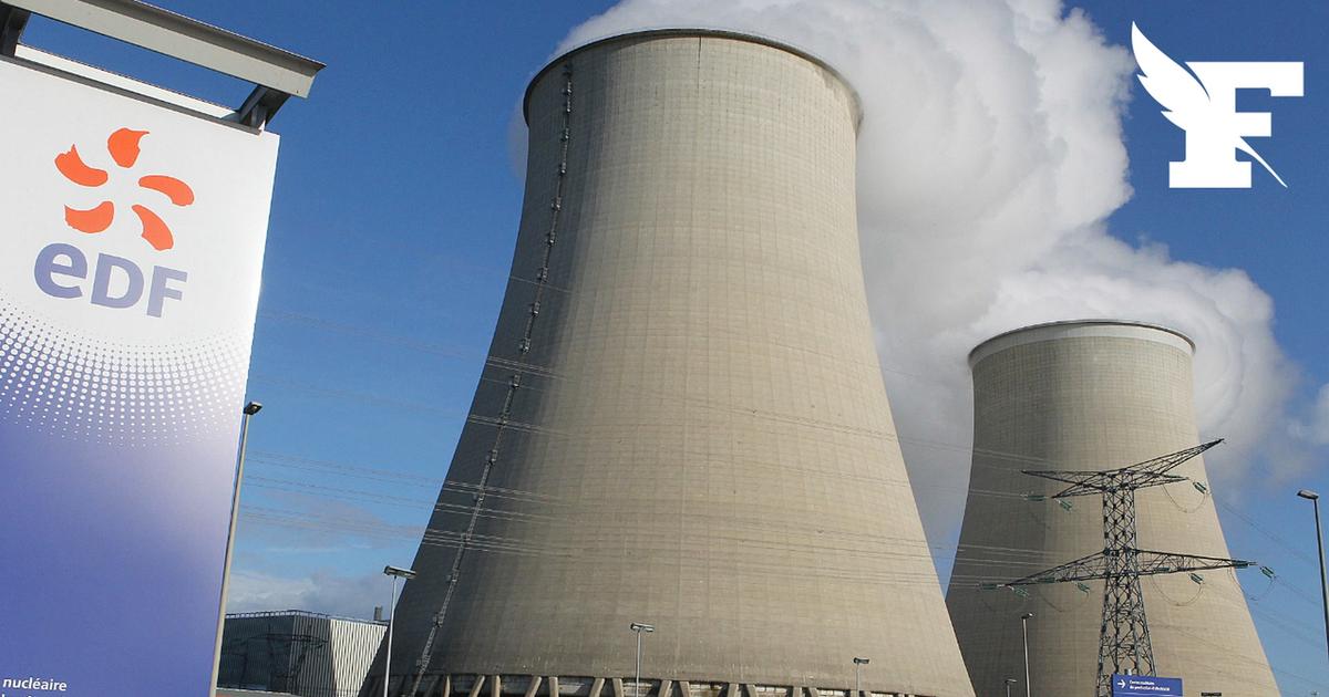 Une invasion de méduses à la centrale nucléaire de Gravelines oblige à stopper des réacteurs