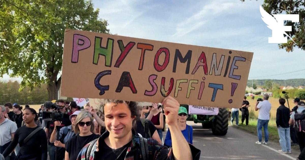 Les images de la manifestation contre les pesticides qui a réuni des milliers de personnes dans l'Eure