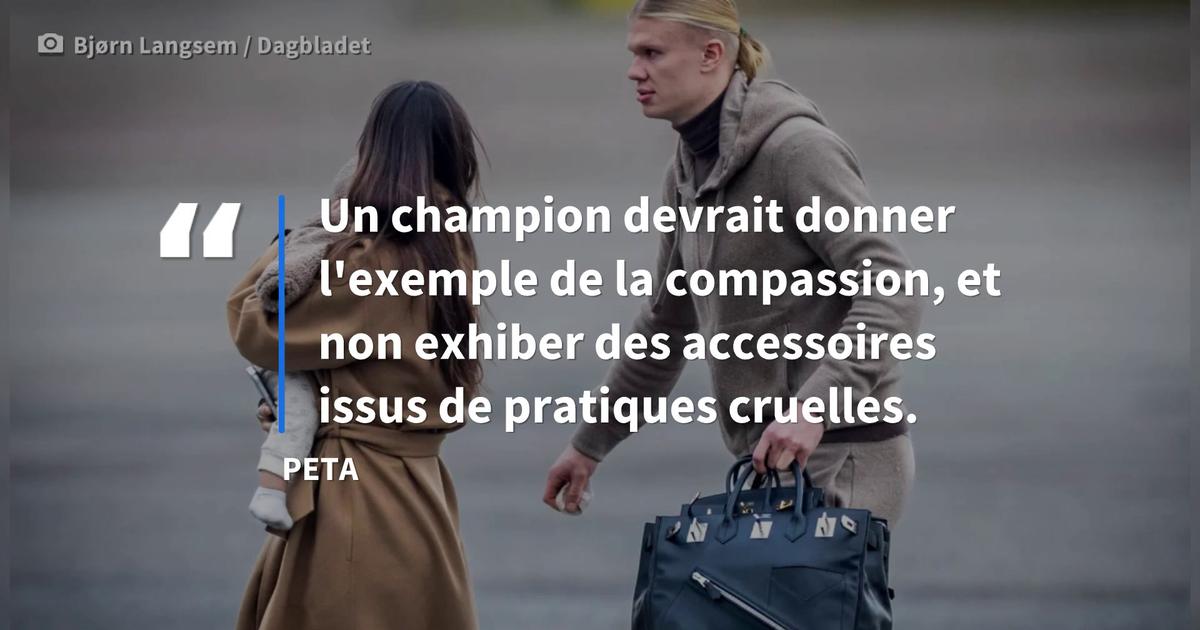 «Carton rouge à Erling Haaland» de la part de PETA pour le footballeur norvégien et ses sacs Hermès