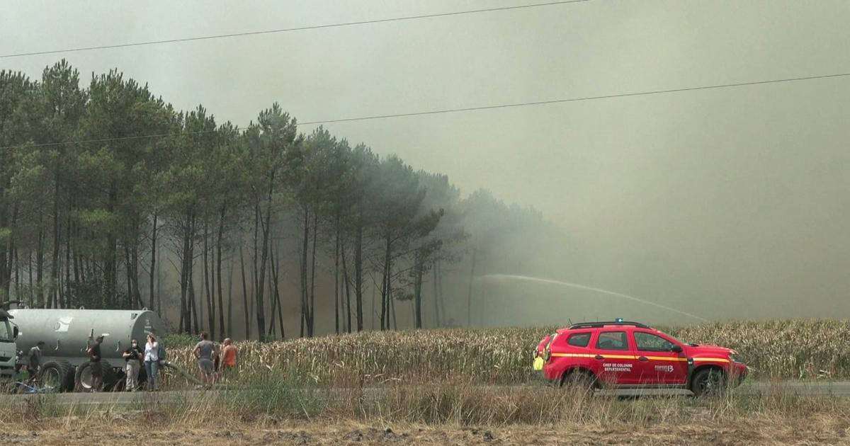 Incendies en Gironde: les images de la reprise du feu à Lanton