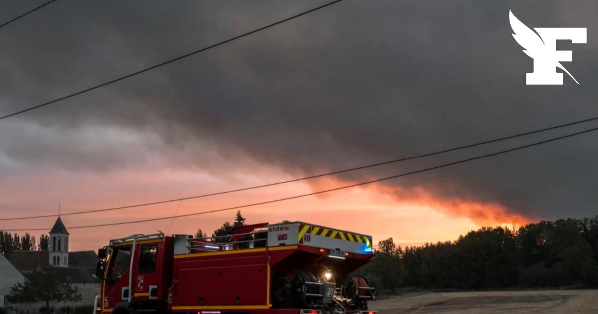 Un homme interpellé pour une tentative d’incendie près de la forêt de Fontainebleau