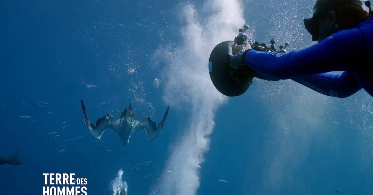 Alexis Rosenfeld, la passion de la photographie au service de l ...