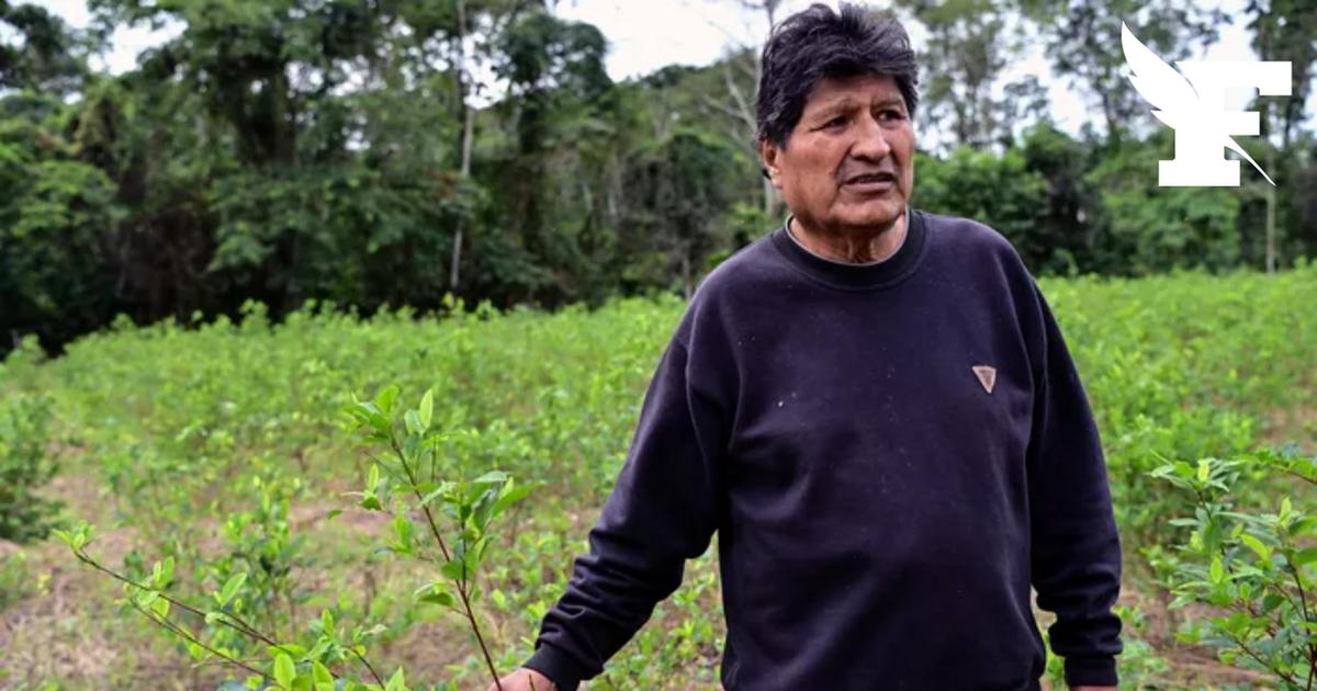 Le parquet général de Bolivie lance un mandat d’arrêt contre l'ancien président Evo Morales