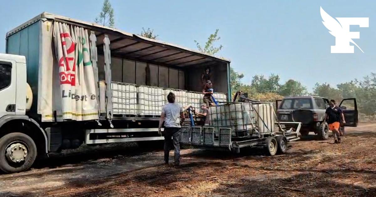 À Lacanau, des centaines de bénévoles se mobilisent pour sauver leur forêt