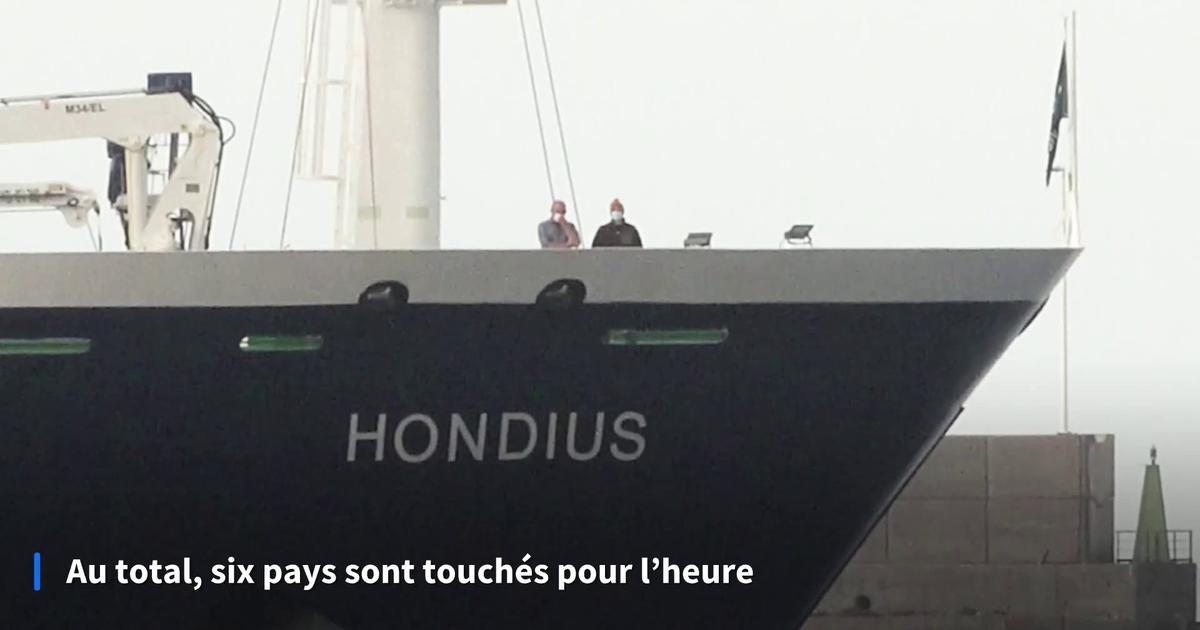 Hantavirus: de quels pays viennent les cas confirmés ou suspectés de la maladie ?
