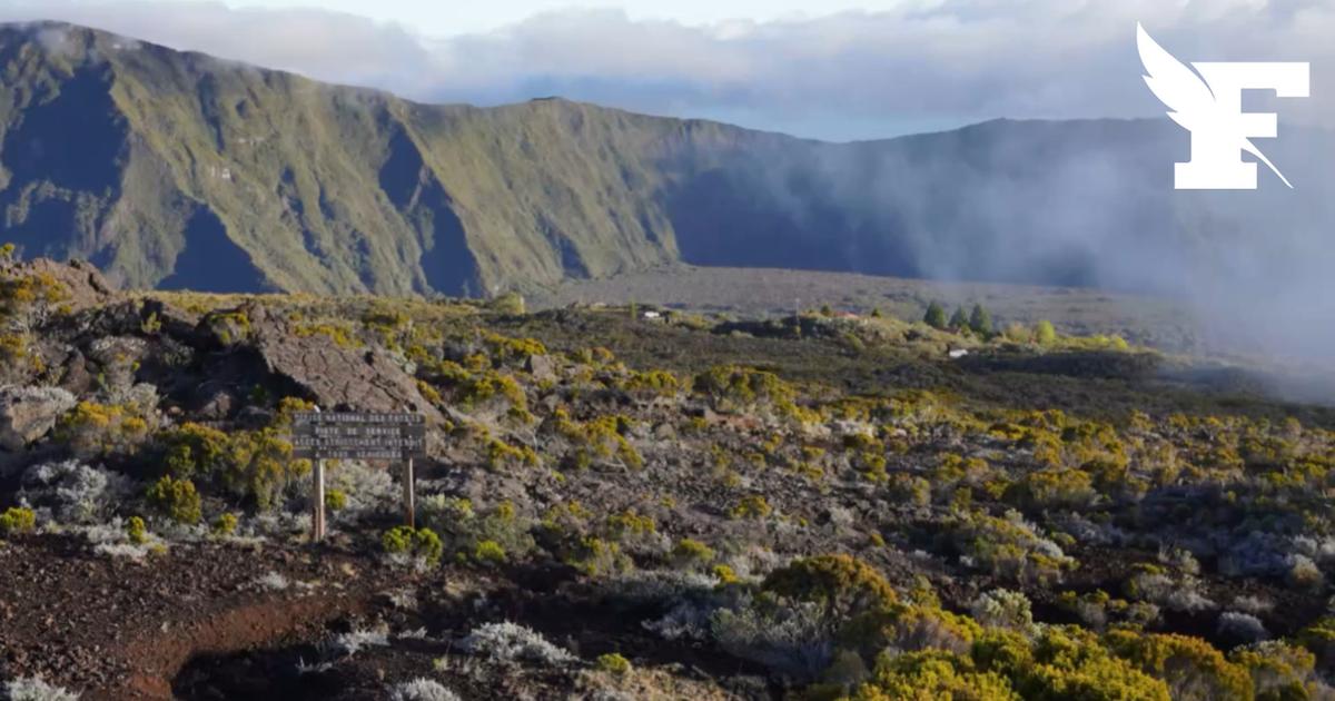 île La Réunion : Éruption du Piton de la Fournaise, la route nationale bloquée