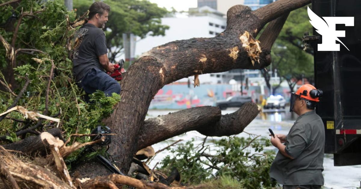 Hawaï sous la menace de l'ouragan Nolo
