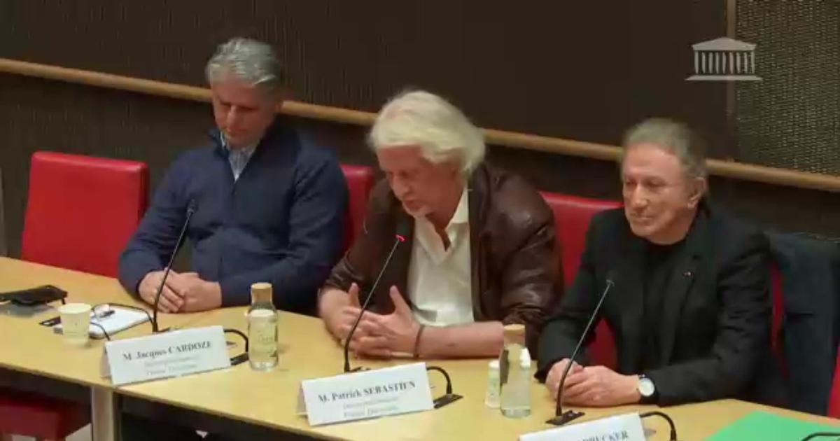 Audiovisuel public: «Je ne pensais pas qu'un jour on m'aurait reproché d'être un homme blanc de plus de 50 ans», déclare Patrick Sébastien