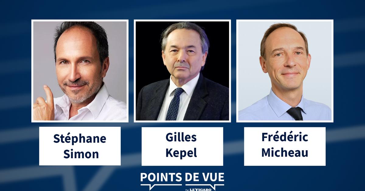 Affaire Jubillar, conflit israélo-palestinien, politique : toute l'actualité dans Points de Vue