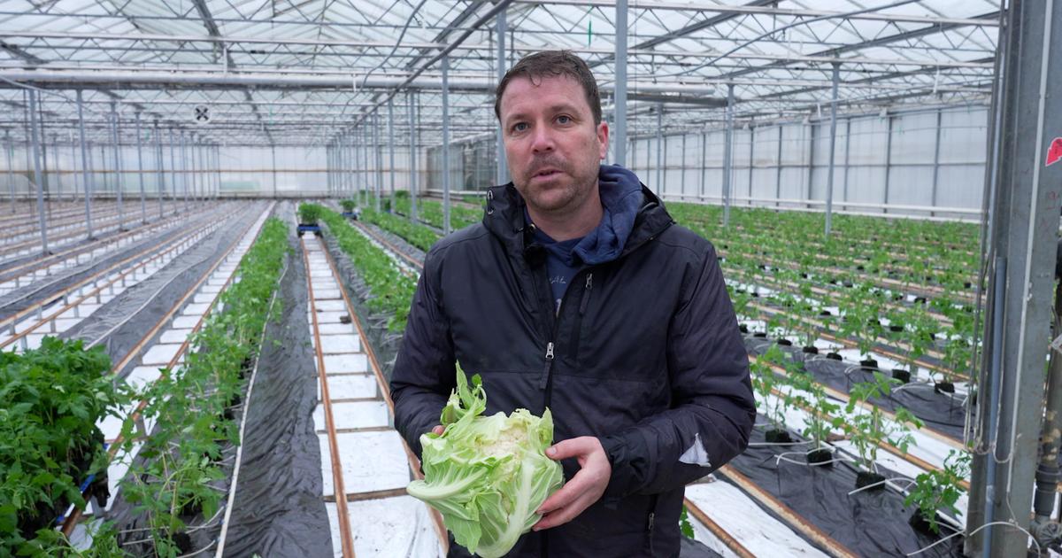 «Il faut que le consommateur ait conscience du prix rémunérateur des légumes pour le producteur»