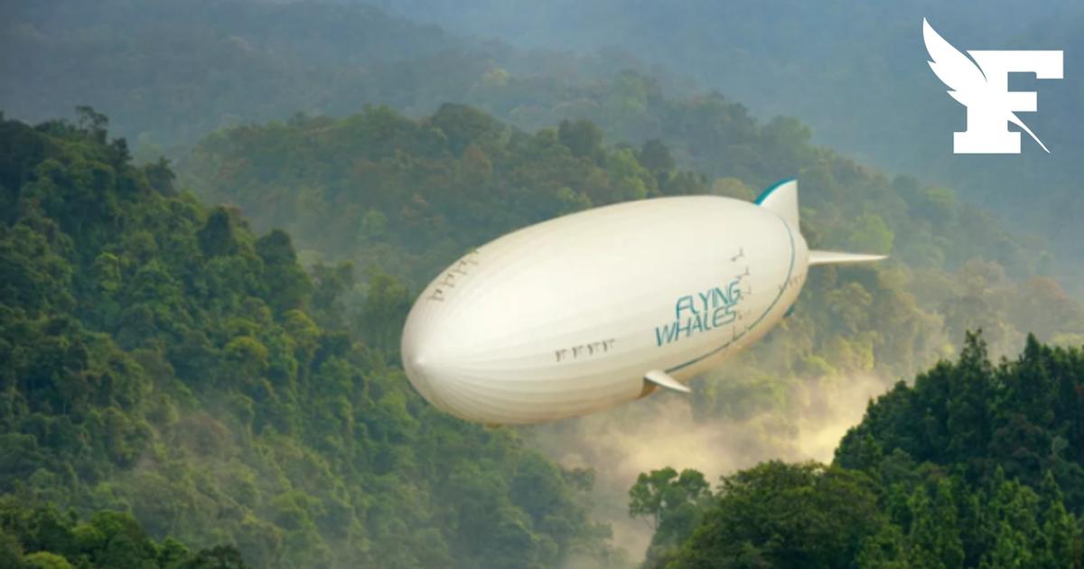 La justice bordelaise valide l’implantation d'une usine Flying Whales en Gironde