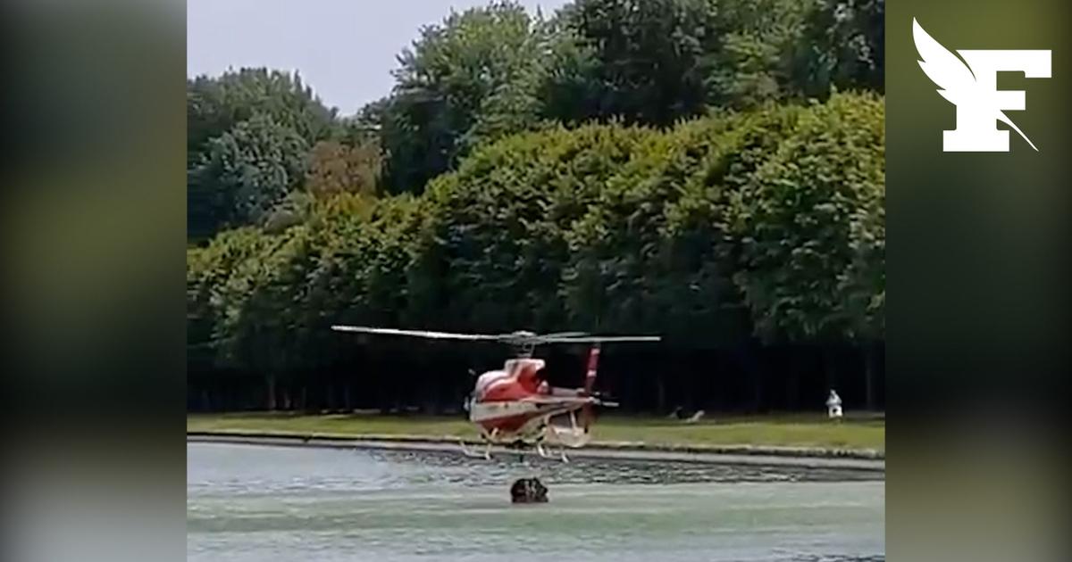 Fontainebleau : un hélicoptère bombardier d’eau puise dans le canal du château pour lutter contre les incendies