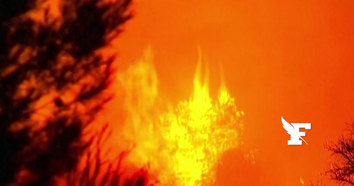 Les images des incendies dévastateurs dans l’Aude