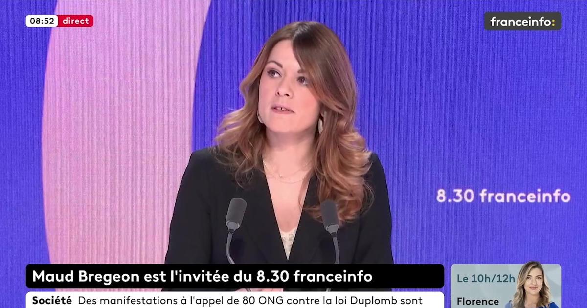 Proportionnelle aux législatives: Maud Bregeon juge que ce n'est pas «le moment de changer le mode de scrutin»