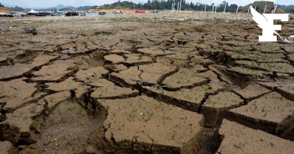 El Niño : le phénomène pourrait être «le plus intense depuis plus d’un siècle», selon le Met Office