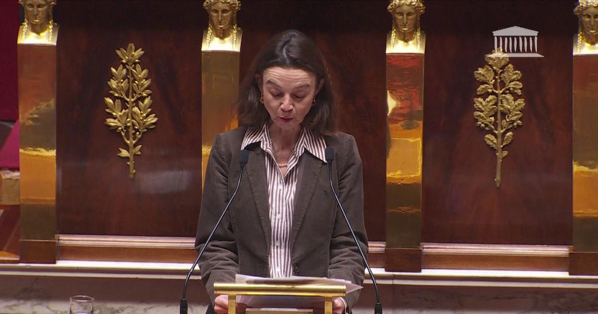 Motion de censure: «Notre refus de la censure ne signifie absolument pas notre adhésion» au budget, assure le groupe Horizons