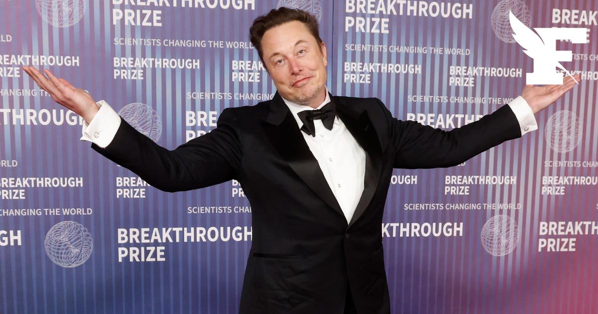 Ingérences sur X : échange de politesses entre Marine Tondelier et Elon Musk