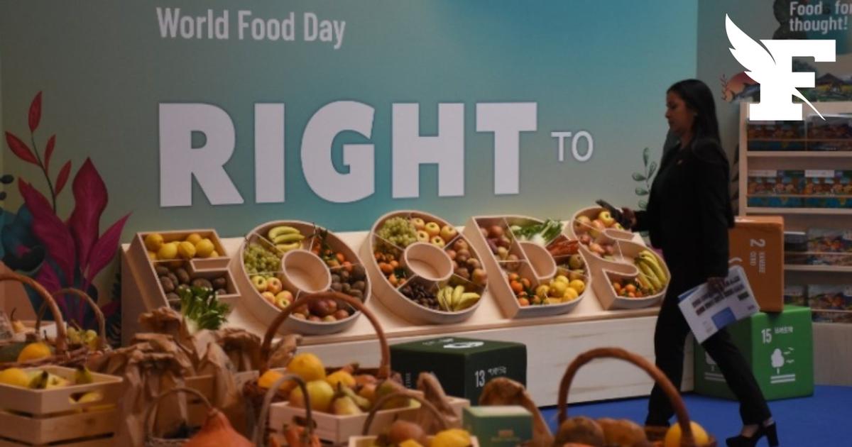 FAO : les prix alimentaires connaissent une forte hausse en juillet