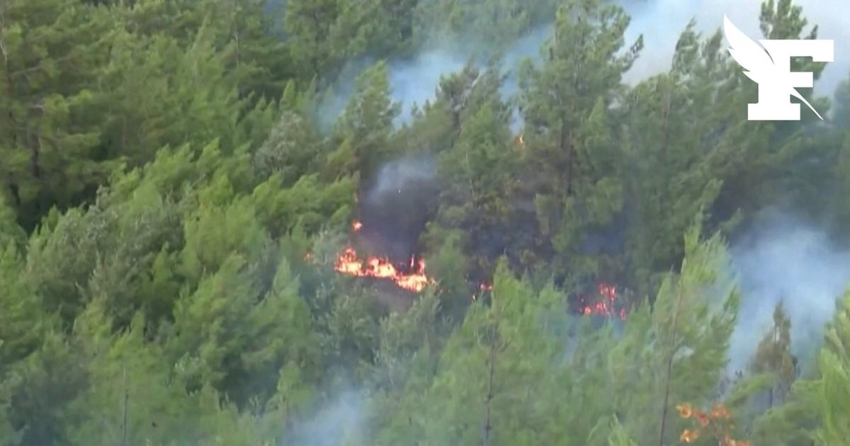 Turquie : le pays fait face à 115 incendies depuis mercredi