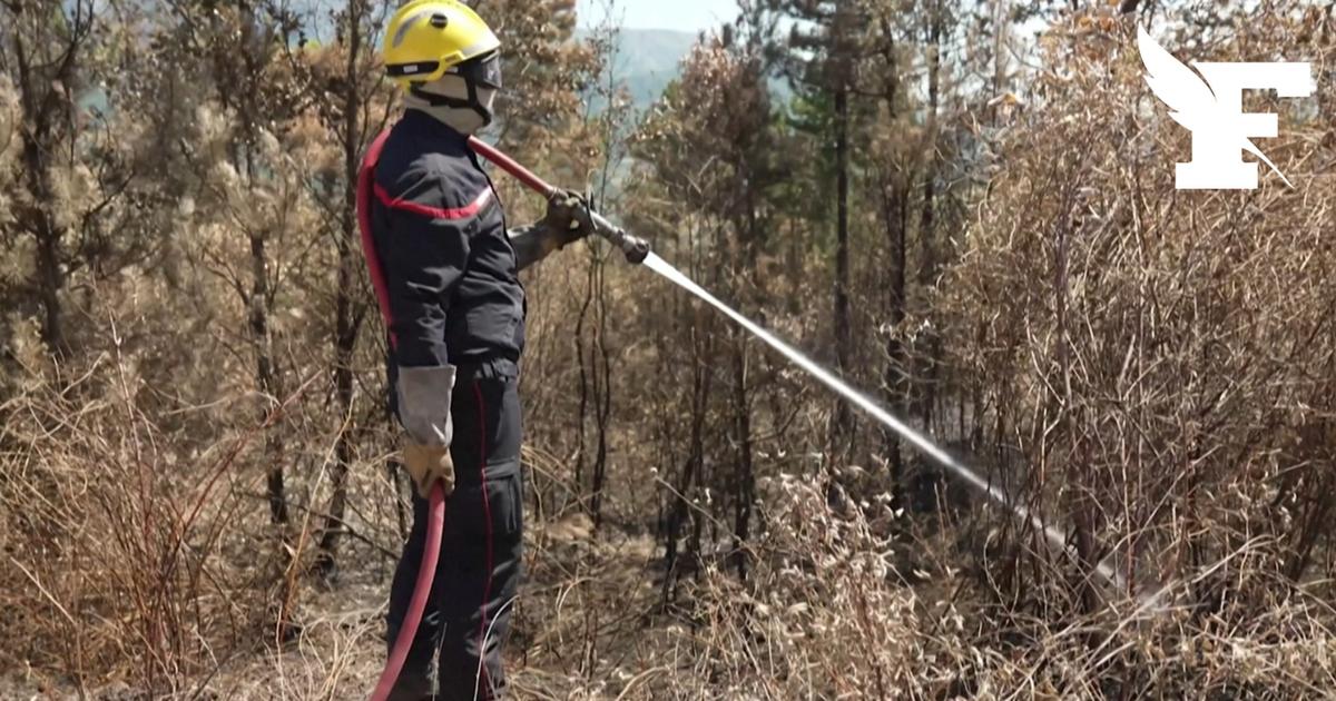 Incendies : malgré «quelques reprises», le feu de forêt dans la Drôme reste «stable»