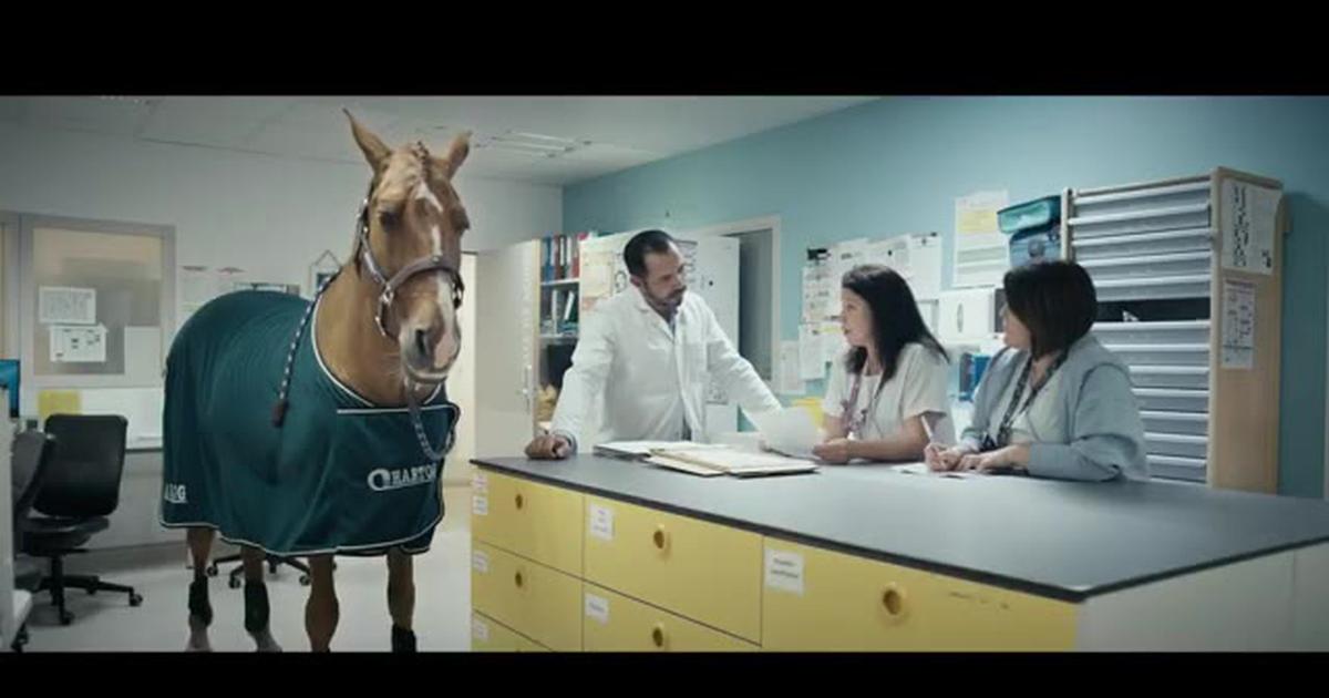 Découvrez la bande annonce du film «À Demain Sur La Lune», qui met en scène un cheval dans un service de soins palliatifs