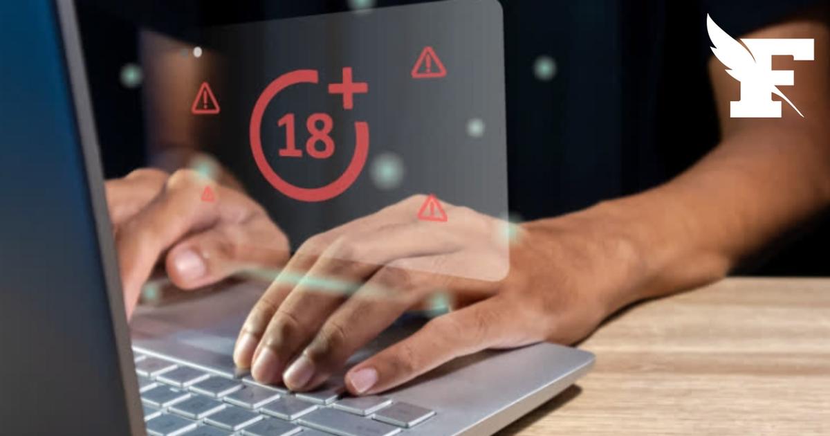 Contrôle de l'âge sur internet : l'Arcom cible 31 sites pornographiques