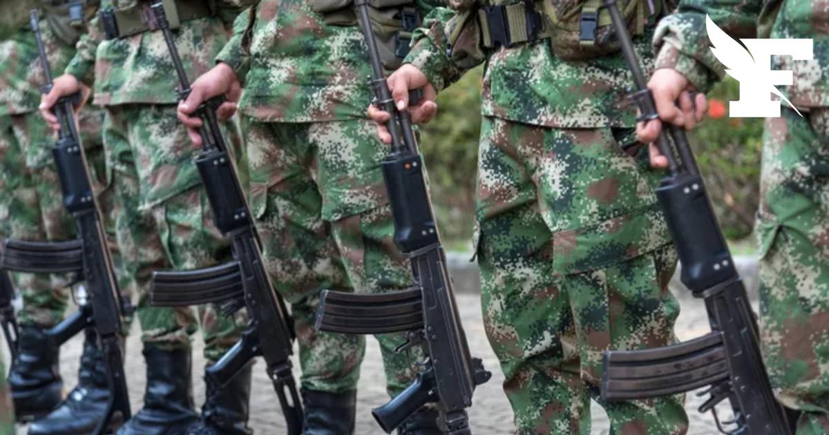 La Cour constitutionnelle autrichienne a tranché, et les soldats pourront désormais... se faire des tresses ou des chignons