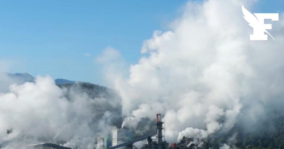 Tarascon : l’usine Fibre d’Excellence est placée en liquidation judiciaire