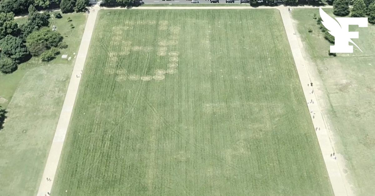 «86 47 veut dire “Tuez le président Trump”!»: de mystérieux chiffres apparaissent dans l’herbe près de la Maison-Blanche