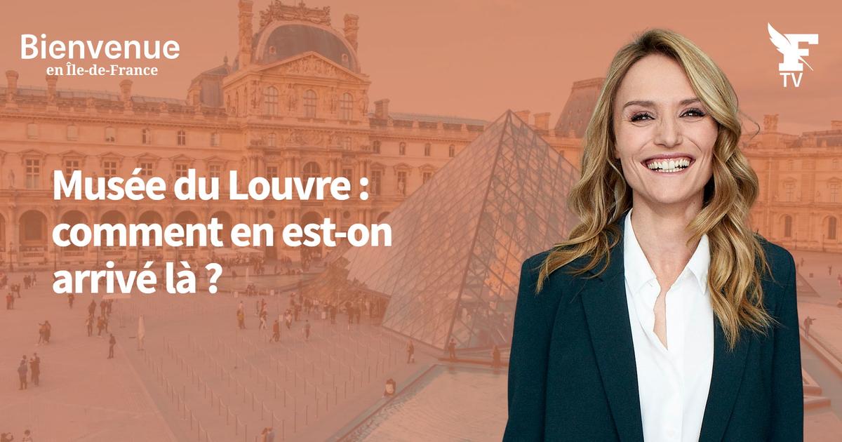 Crise au Louvre : pour son patron, le musée est «à bout de souffle»