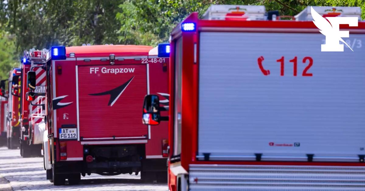 Allemagne : un important incendie ravage un parc national