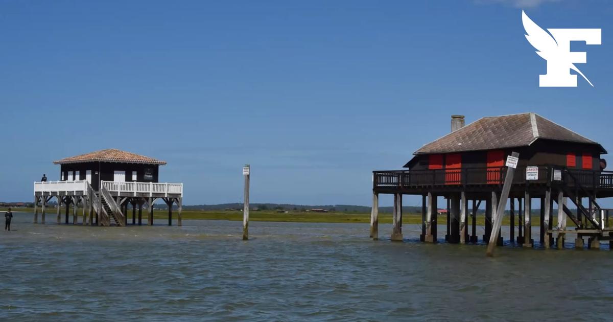 Une cabane du Bassin d'Arcachon est ouverte aux candidatures