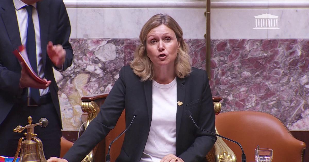 Les députés adoptent le projet de loi Ripost, porté par Laurent Nuñez