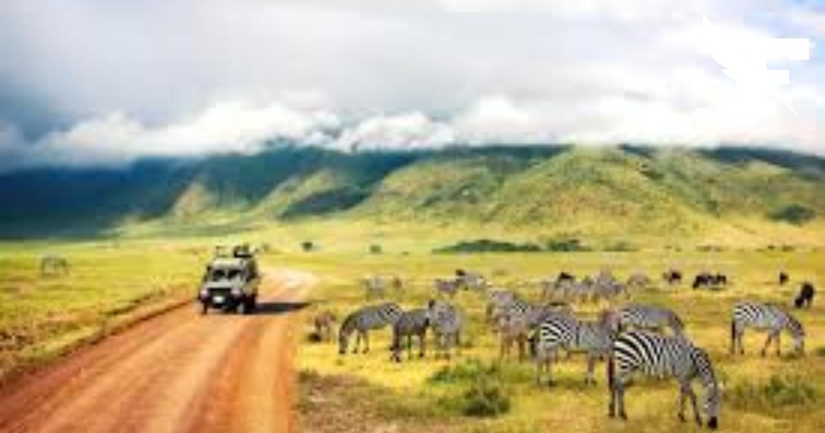 Pourquoi la Tanzanie n'a plus les faveurs des voyageurs français
