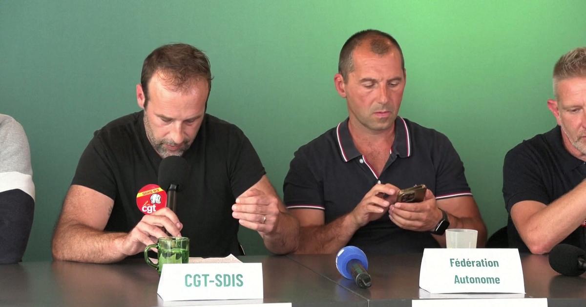 «On est prêts pour les risques d'hier» : l'intersyndicale des pompiers réclame plus de moyens face à une surface boisée qui ne cesse d'augmenter