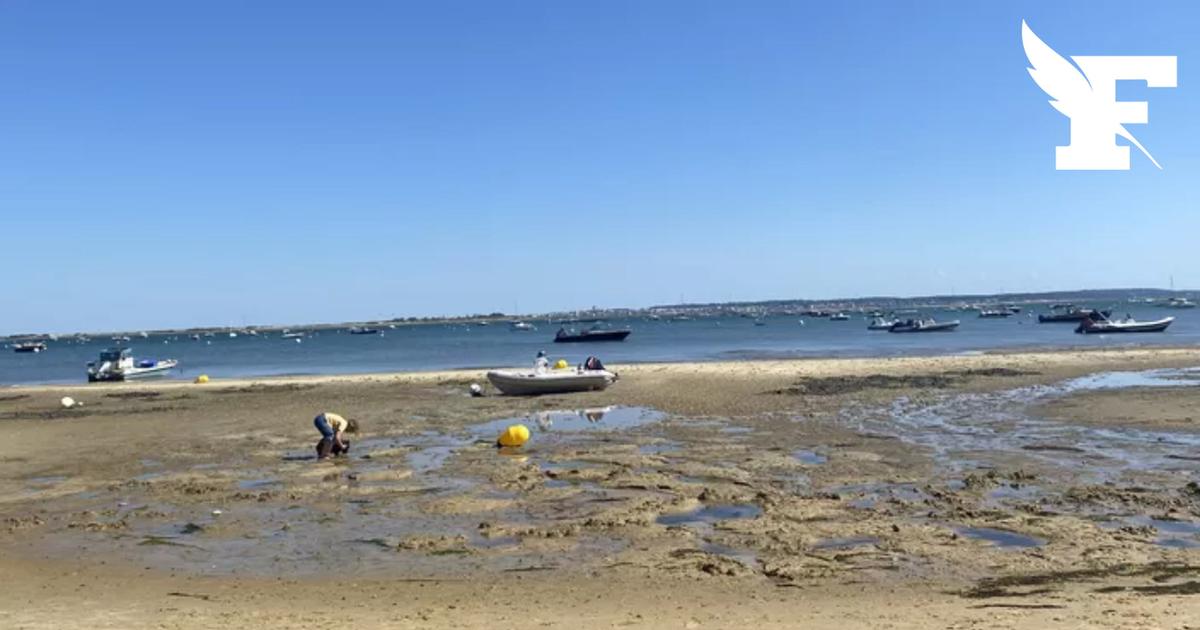 Les parents d'un petit garçon fauché en mer par un marin sous l'emprise de la cocaïne demandent la création d’un homicide maritime