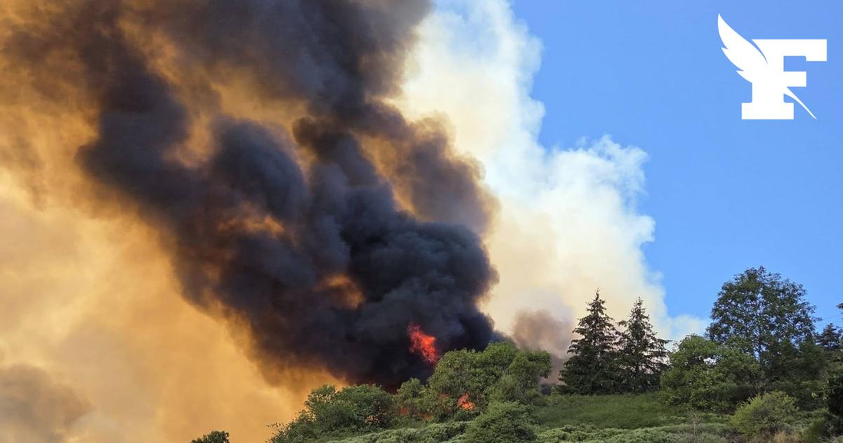 Incendie en Lozère : un hameau évacué et 180 hectares brûlés