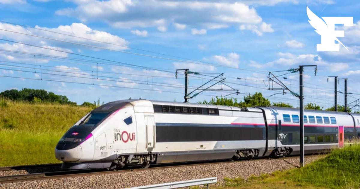 Un TGV Nice-Paris bloqué plus de huit heures dans un tunnel au niveau de Marseille après un accident de personne