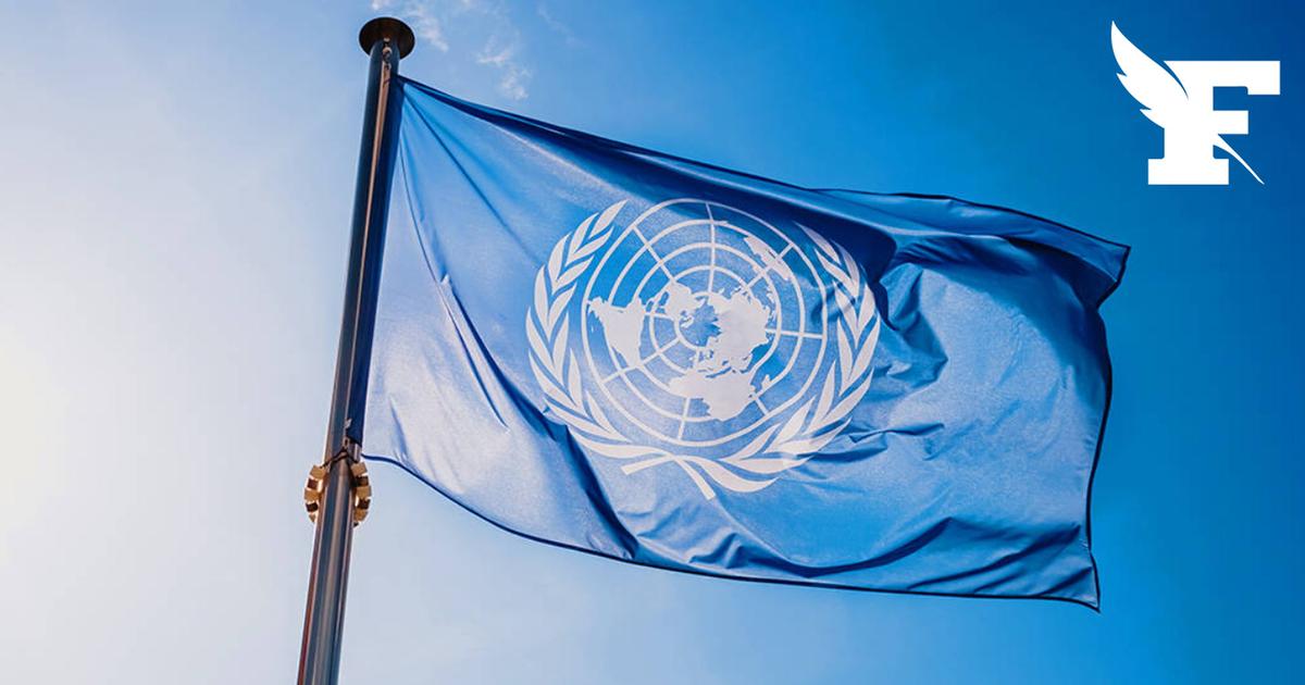 350 travailleurs humanitaires ont été tués en 2025 selon l'ONU