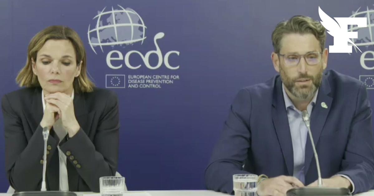 Hantavirus: l'UE estime que «rien n’indique que la souche des Andes a muté»