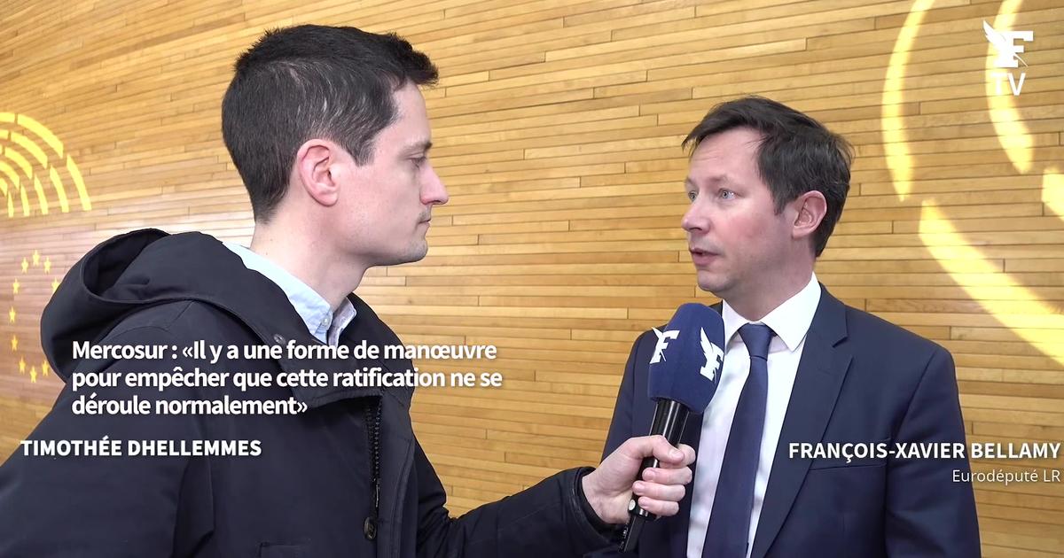 François-Xavier Bellamy : «Nous voulons que la Cour de justice se prononce sur le Mercosur»