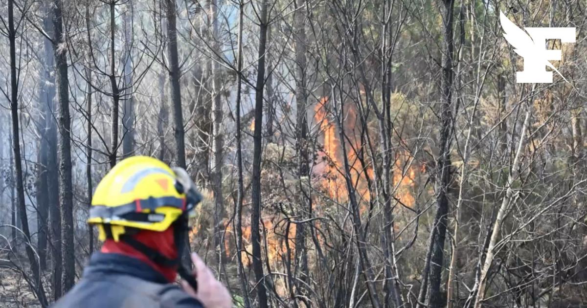 Incendie : une centaine d'hectares ravagés dans le Cher et le Loir-et-Cher