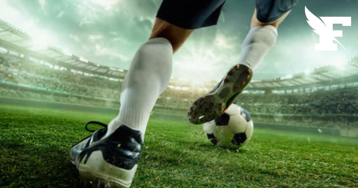 Football : blocage des sites pirates de Ligue 1 et Ligue 2