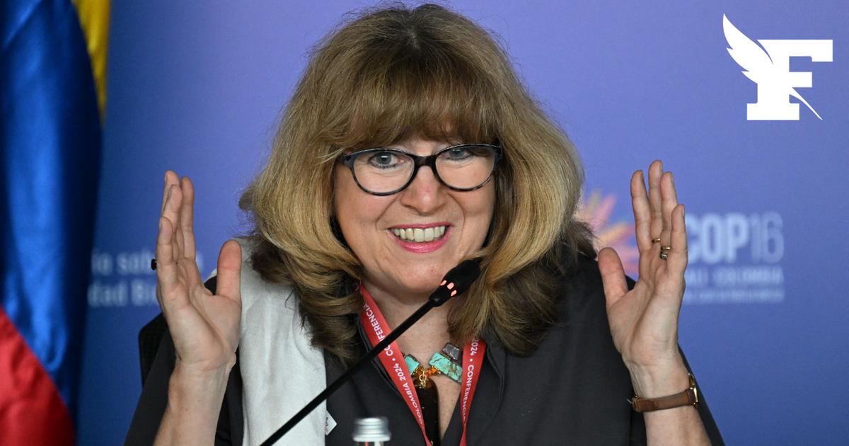 Le monde «n’est pas sur la bonne voie» pour tenir ses engagements prévient l'ONU avant la COP17 sur la biodiversité